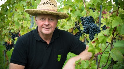 Wandeling in Elst - Bezoek aan wijngaard - Foodpairing